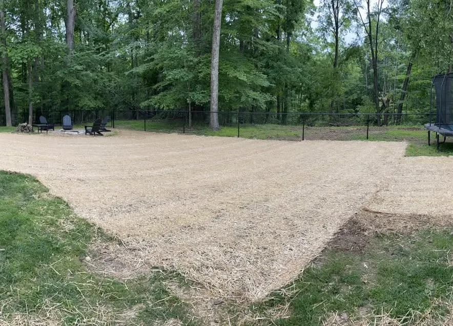 Full Yard Cleanup and Covering