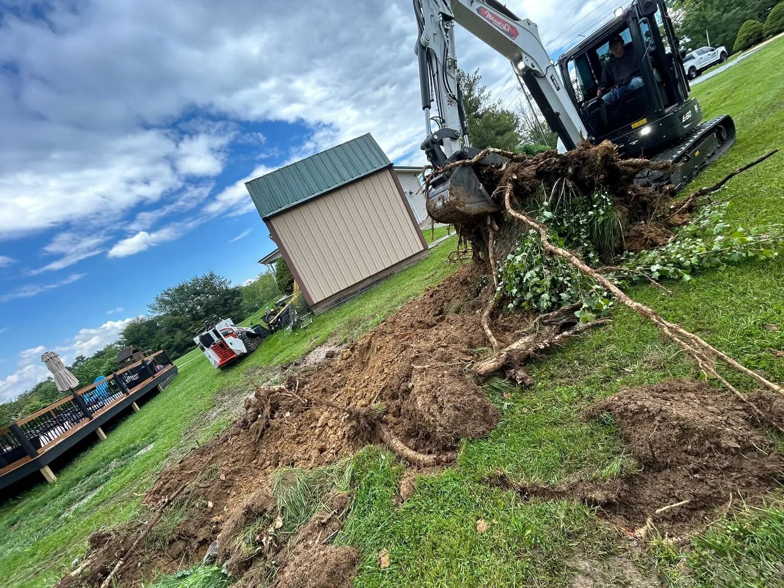 Stump Removal Cleanup