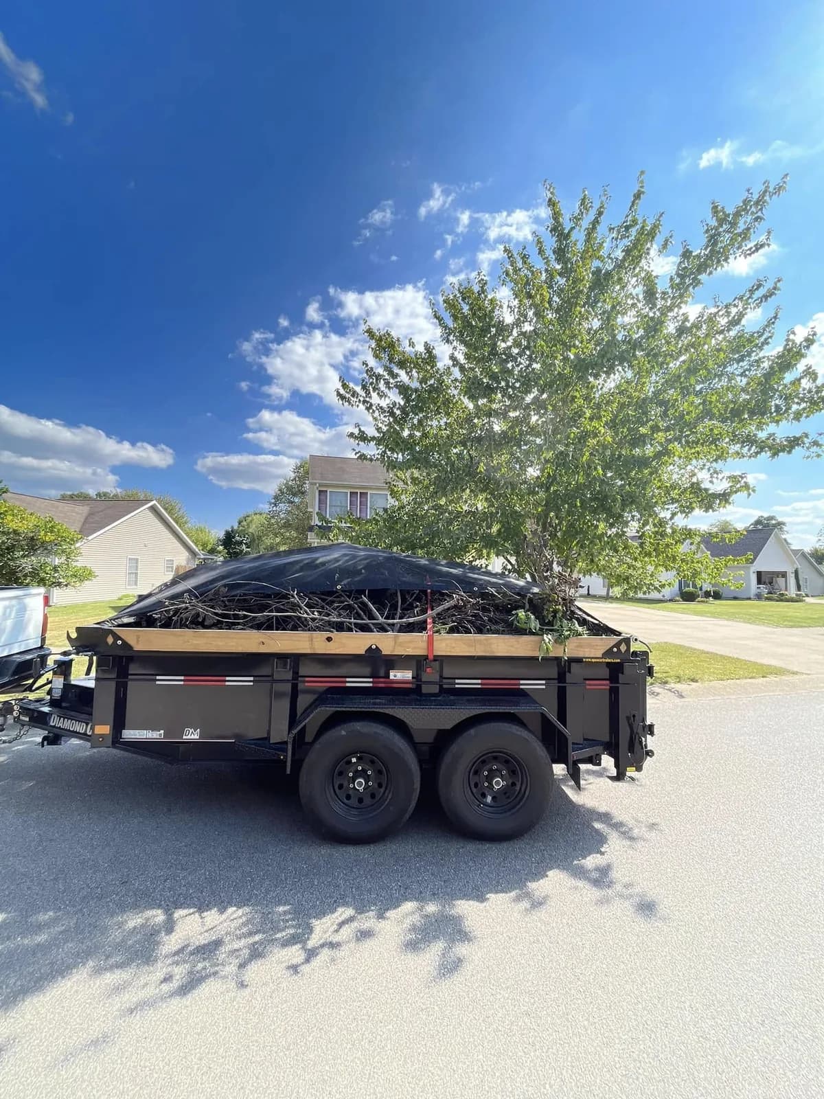 Storm Debris Full Trailor Removal