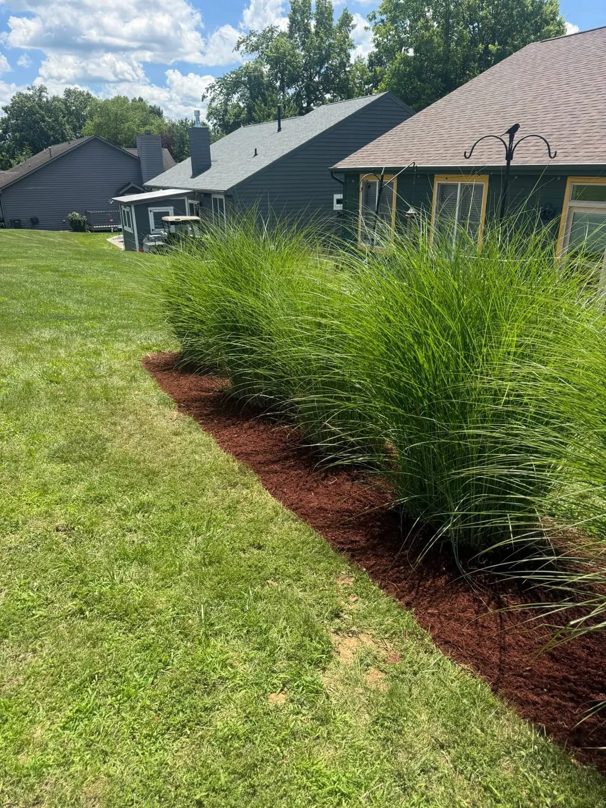 Fresh Mulched Garden Shrubs